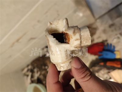 白茅湖农场自来水管道漏水检测