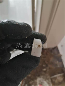 白茅湖农场暖气管道漏水检测