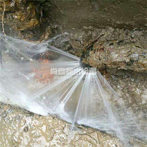 白茅湖农场消防管道漏水检测
